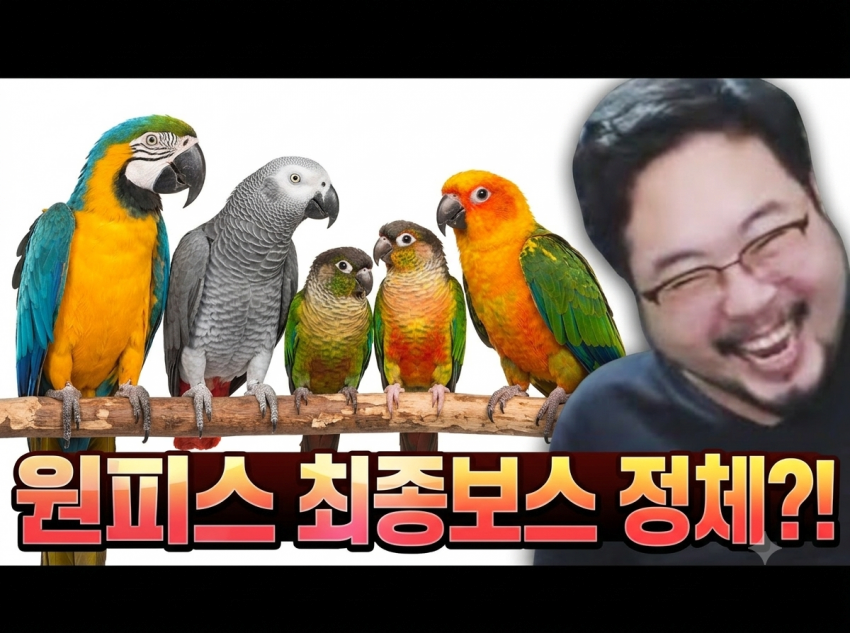 원피스 앵무새 떡밥 며칠 후 예상