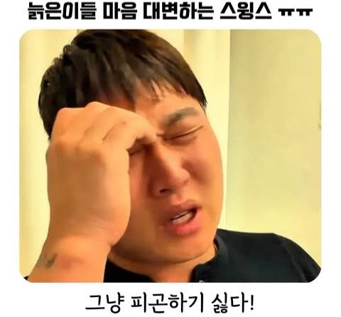 지쳐버린 늙은 스윙스같은 메시