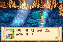 사실 원피스에 앵무새 나온적 있음