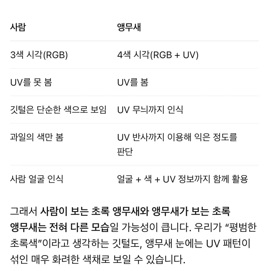 원피스) 와 gpt한테 앵무새 특성 속성강의 들었는데 소름돋음 ㄷㄷ