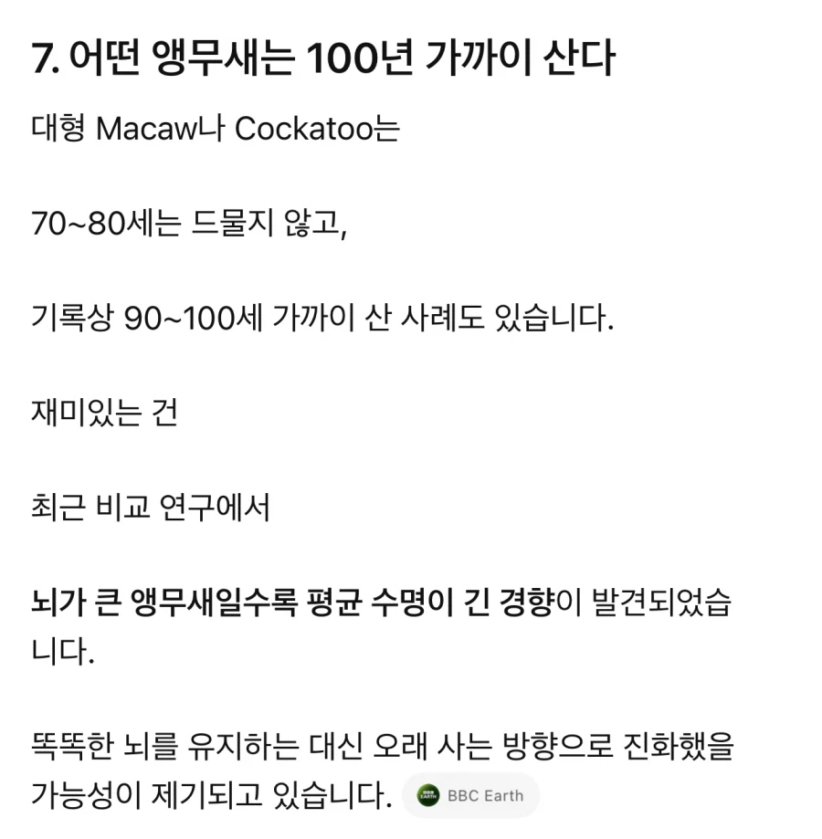 원피스) 와 gpt한테 앵무새 특성 속성강의 들었는데 소름돋음 ㄷㄷ