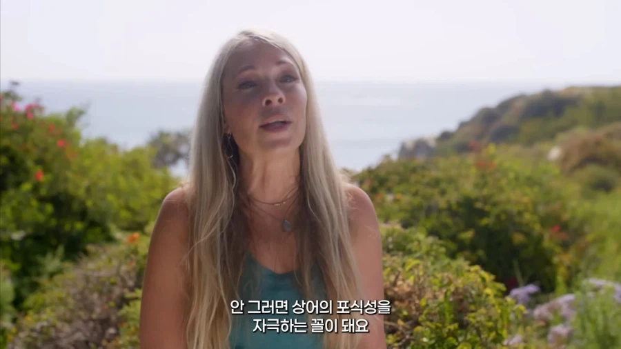 상어 전문가가 말하는 바다에서 상어 만나면 대처법.jpg