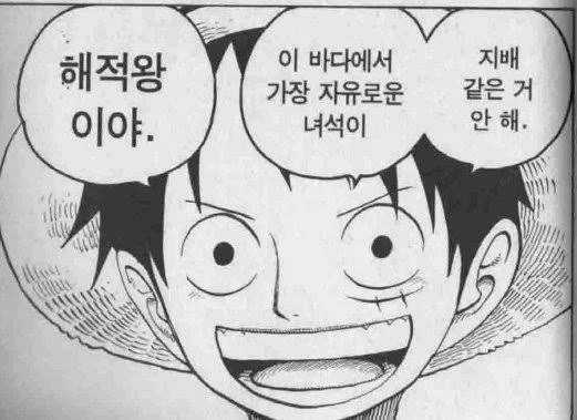 원피스 디시인이 쓴 공백의 100년 이야기