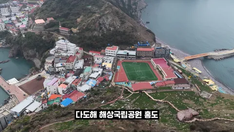 새덕후) 고양이가 새들을 학살하는 섬. 정말 심각합니다.