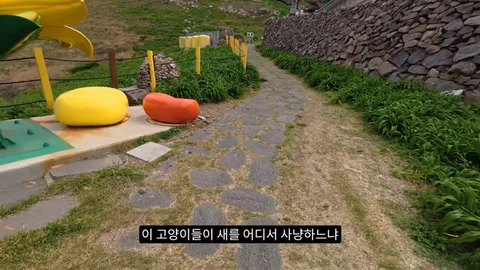 새덕후) 고양이가 새들을 학살하는 섬. 정말 심각합니다.