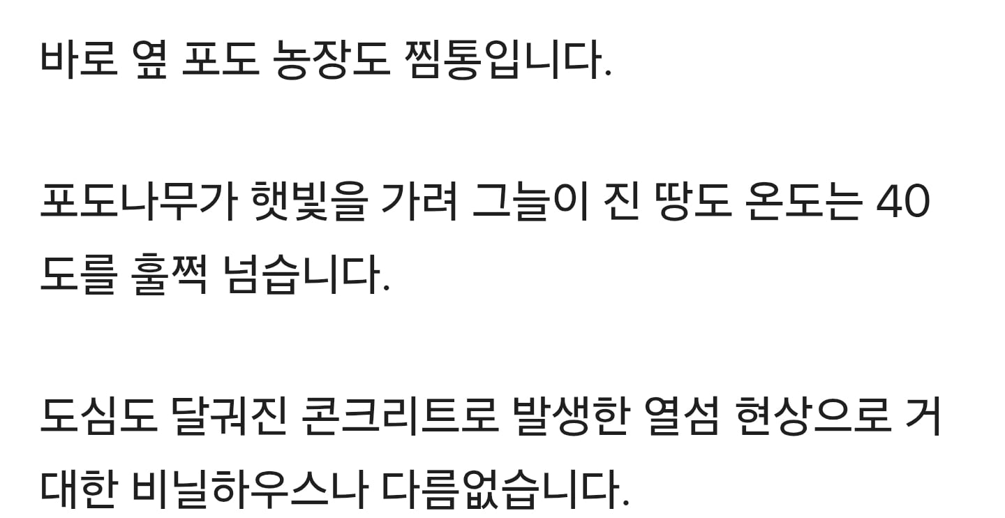 찜통 비닐하우스서 80대 사망