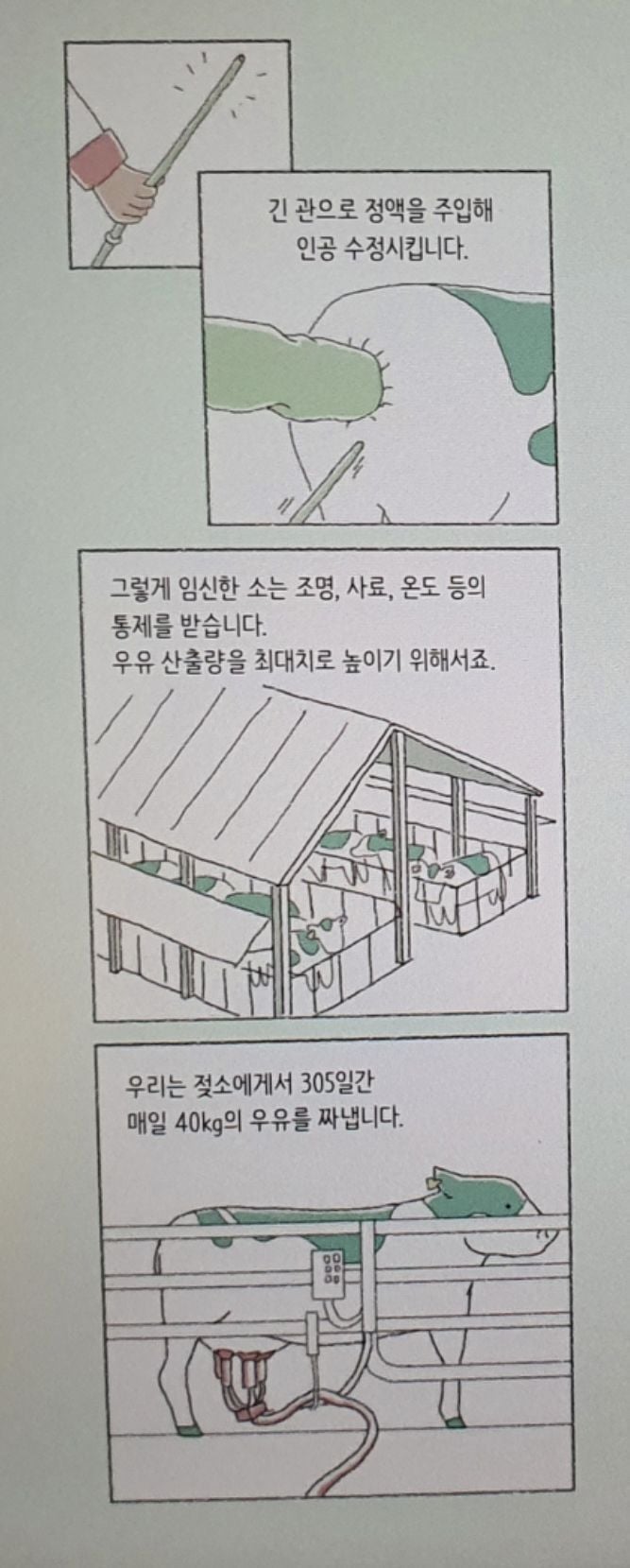우유가 만들어지는 과정
