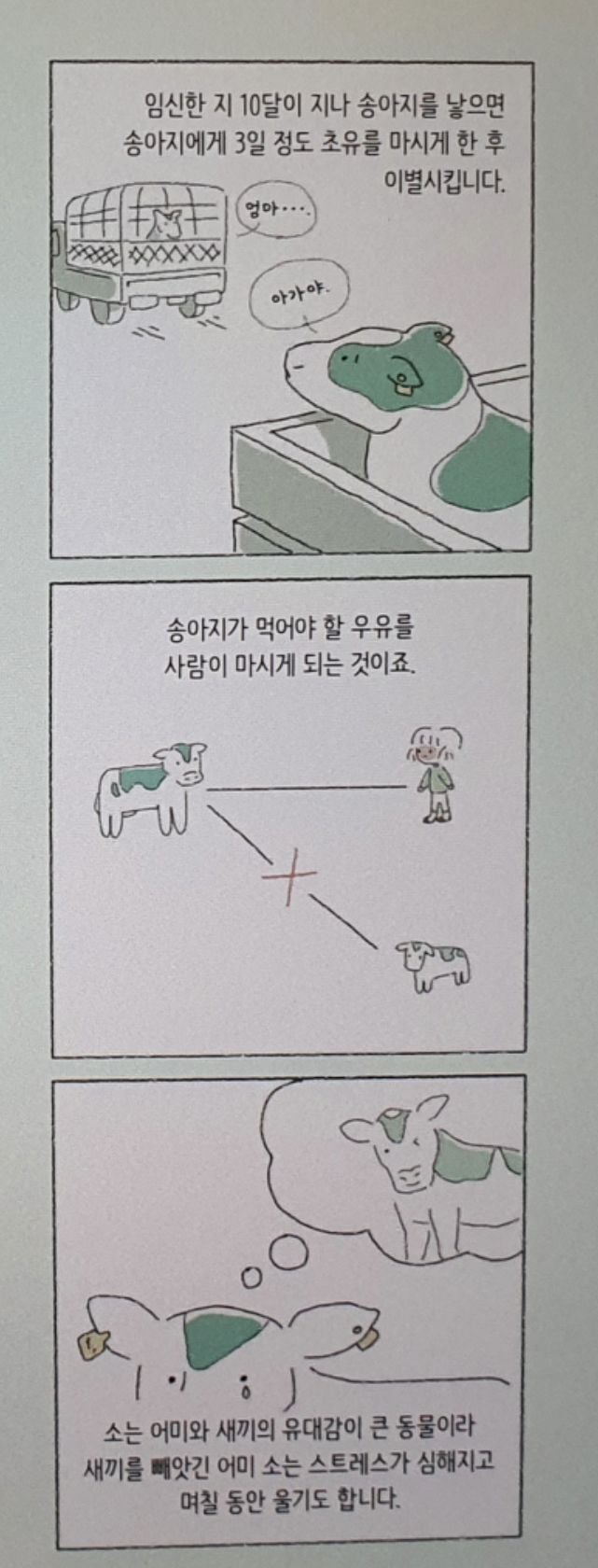 우유가 만들어지는 과정