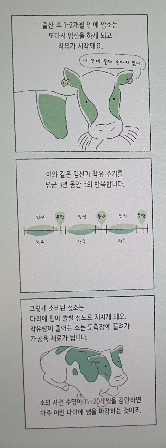 우유가 만들어지는 과정