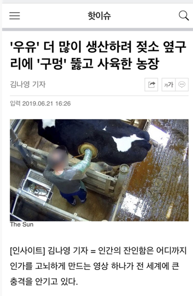 우유가 만들어지는 과정