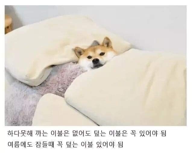 잘 때 이런 버릇 있는 사람 꼭 있음