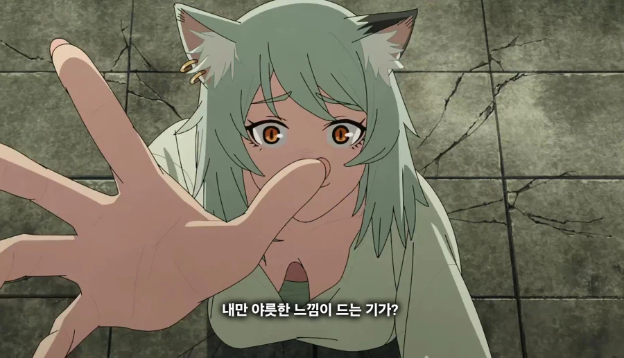 담배고양이) 끼었다냥