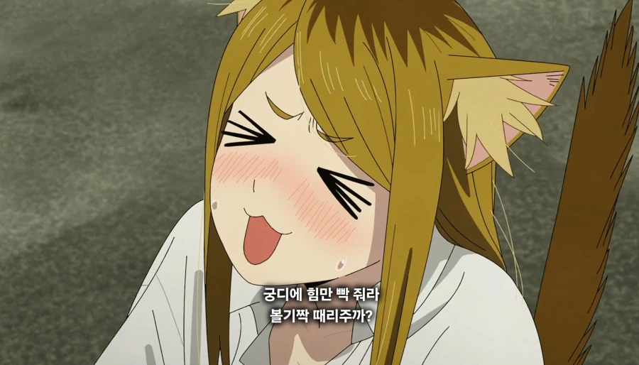 담배고양이) 끼었다냥