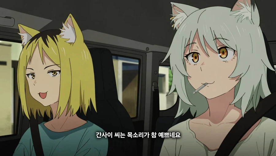 담배고양이) 온 동네에 들린 거 아니예요?