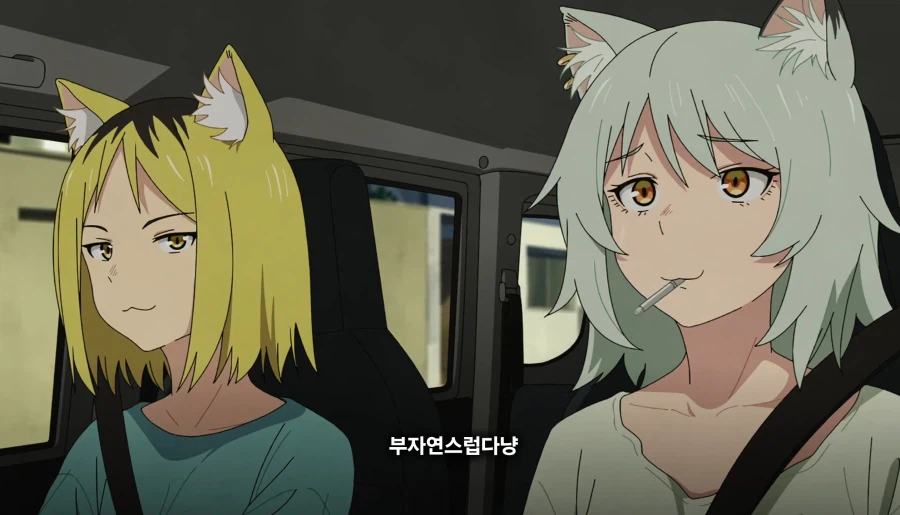 담배고양이) 온 동네에 들린 거 아니예요?