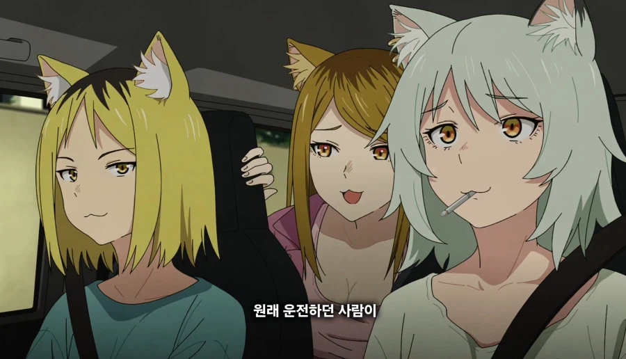 담배고양이) 온 동네에 들린 거 아니예요?