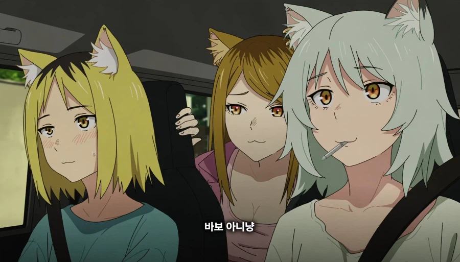 담배고양이) 온 동네에 들린 거 아니예요?