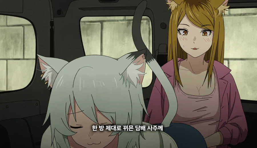 담배고양이) 온 동네에 들린 거 아니예요?