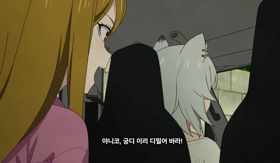담배고양이) 온 동네에 들린 거 아니예요?