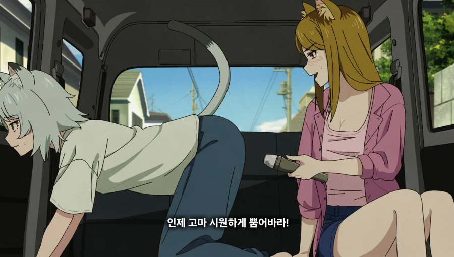 담배고양이) 온 동네에 들린 거 아니예요?