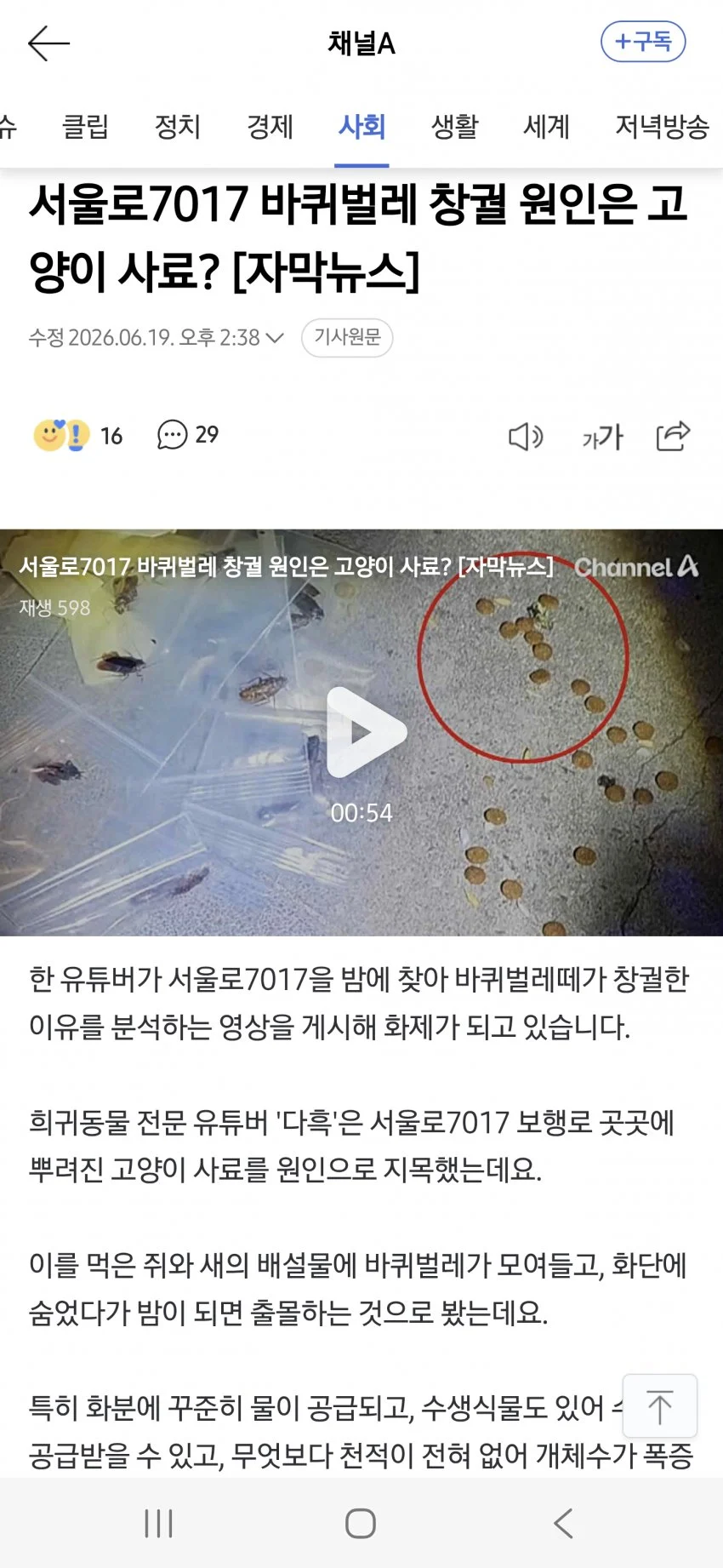 바퀴벌레로 급증 하고 있다는 서울로 근방 아파트들