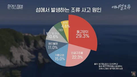 캣맘금지법) 여성경제신문의 따끈따끈(?)한 새덕후 지지 기사