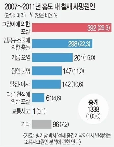 캣맘금지법) 여성경제신문의 따끈따끈(?)한 새덕후 지지 기사