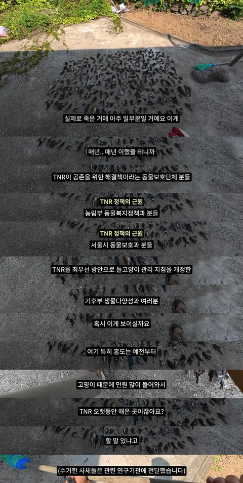 캣맘금지법) 여성경제신문의 따끈따끈(?)한 새덕후 지지 기사