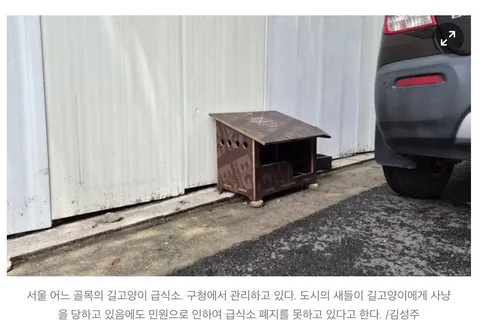 캣맘금지법) 여성경제신문의 따끈따끈(?)한 새덕후 지지 기사