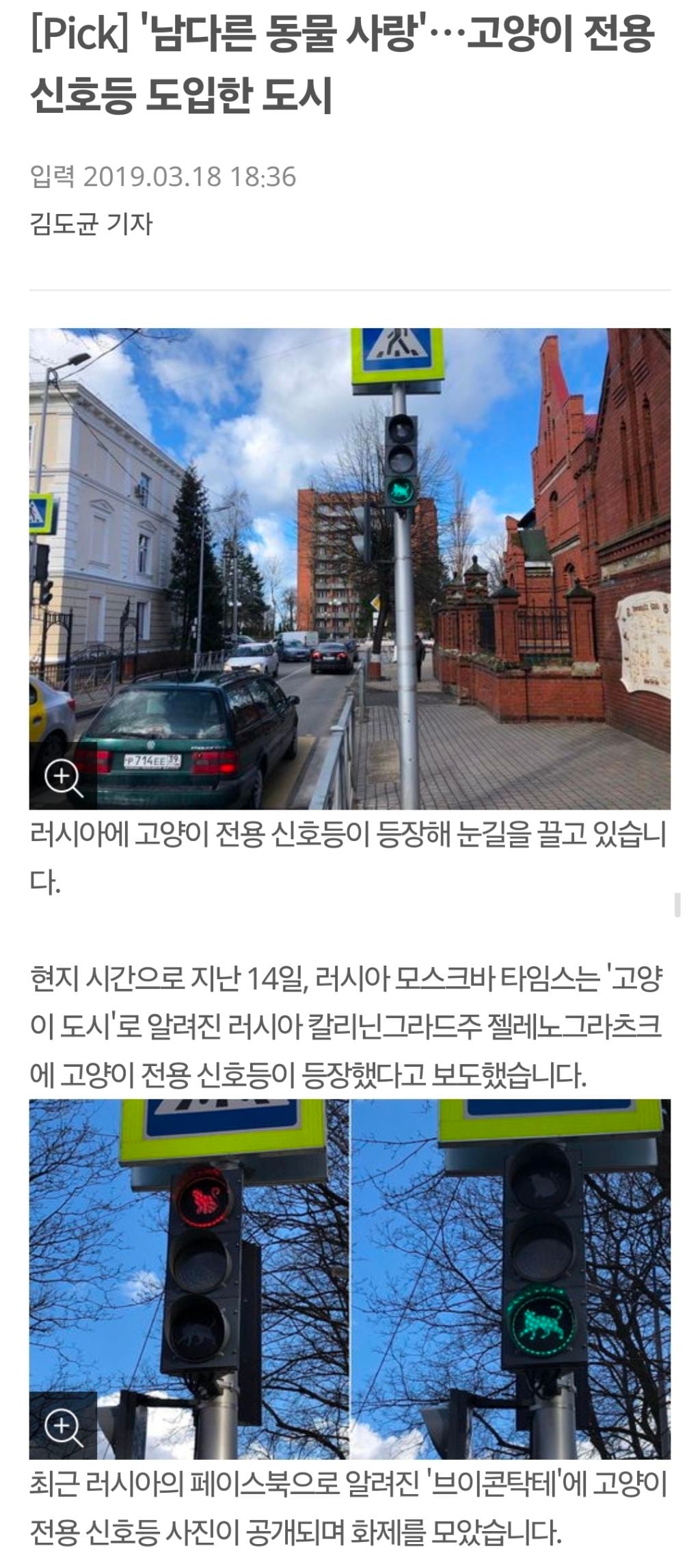 '남다른 동물 사랑'…고양이 전용 신호등 도입한 도시