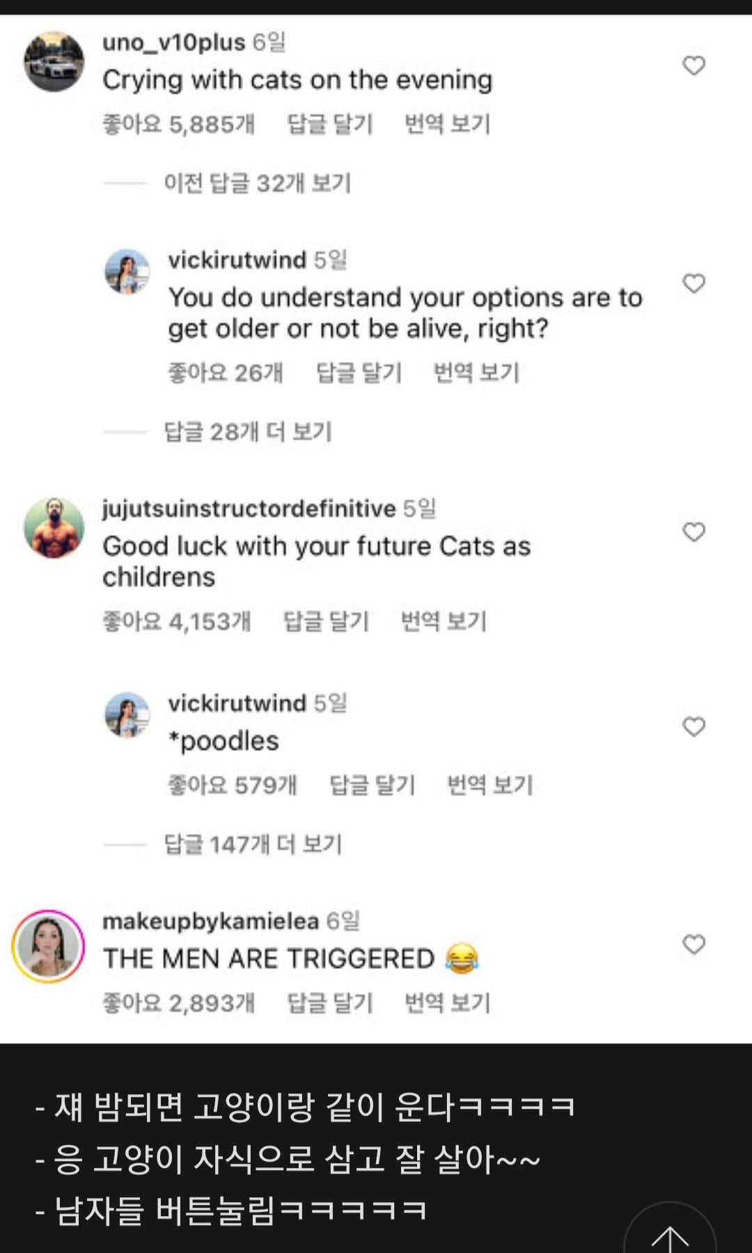 39살 비혼 비출산 여성 인스타 릴스에 달린 양남들 댓글