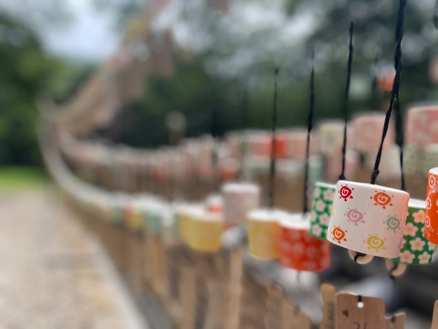 선운산.jpg