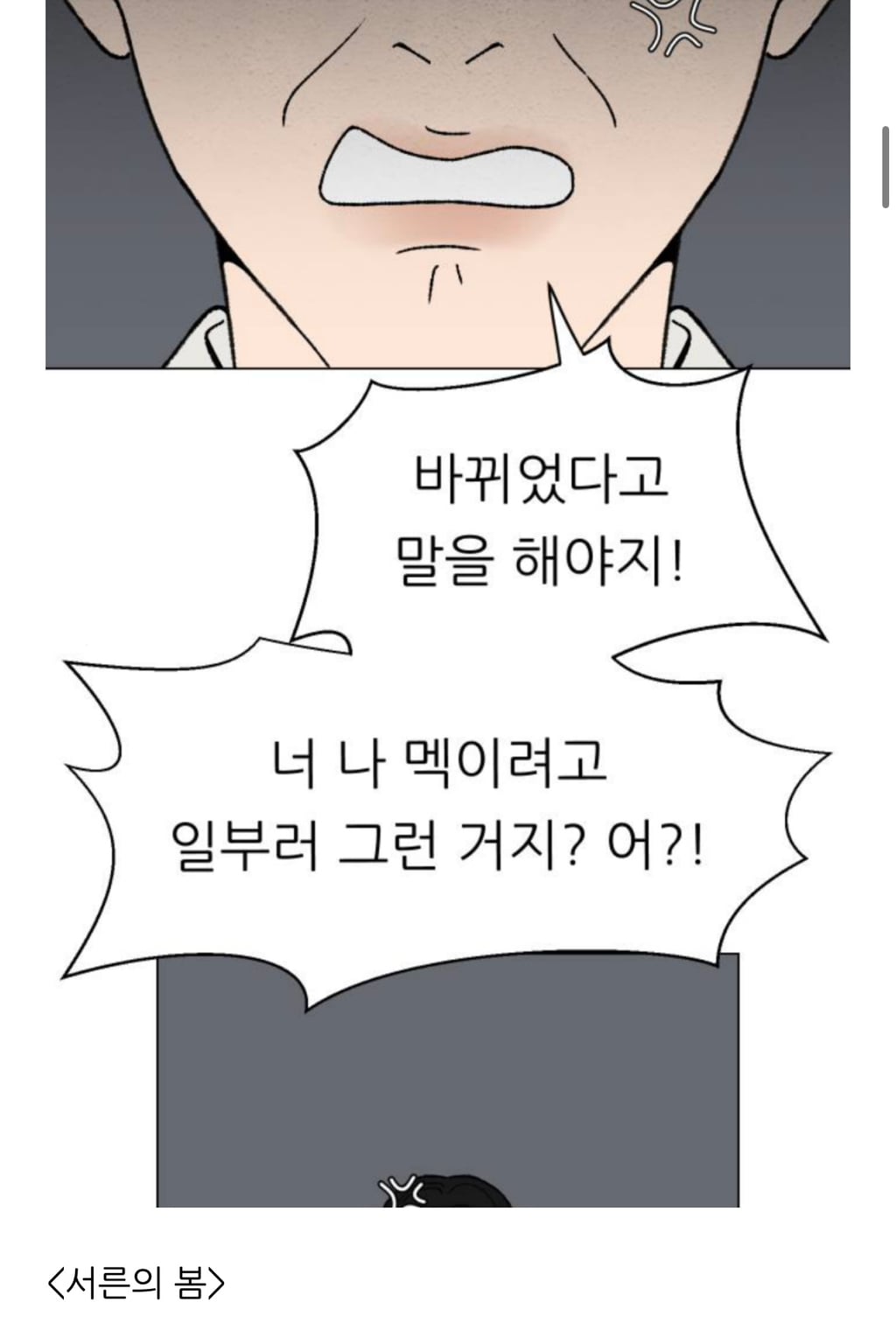 네이버 웹툰 아홉수 우리들, 서른의 봄 유사성 논란에 대한 각 작가 입장문
