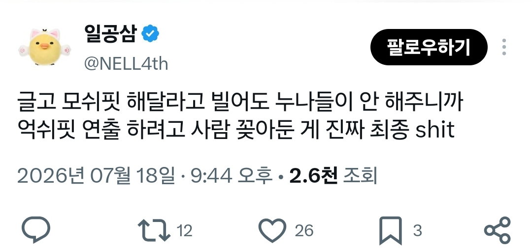 모쉬핏 연출하려고 댄서들을 스탠딩에 풀었다는 코르티스 콘서트...
