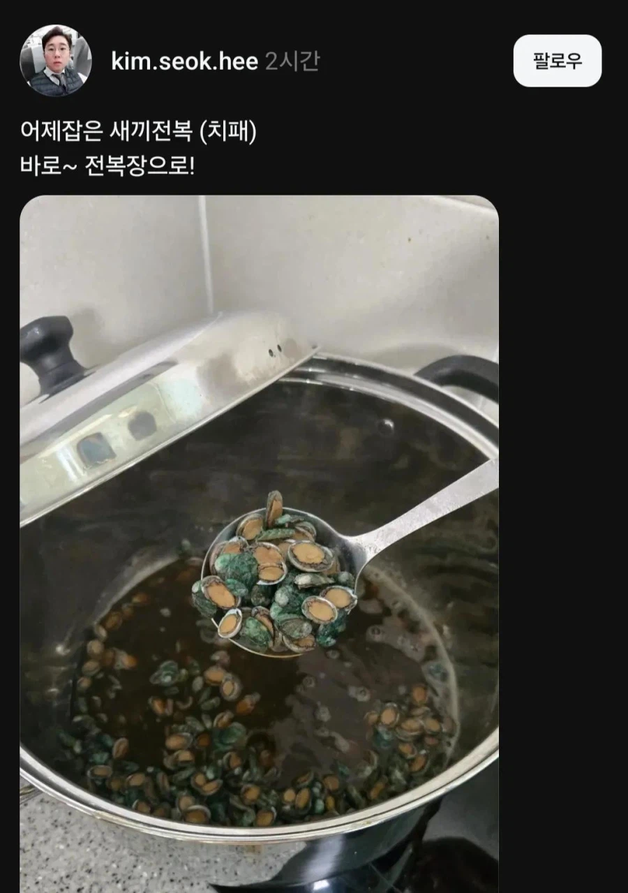 전복 치패 방류 사업 근황
