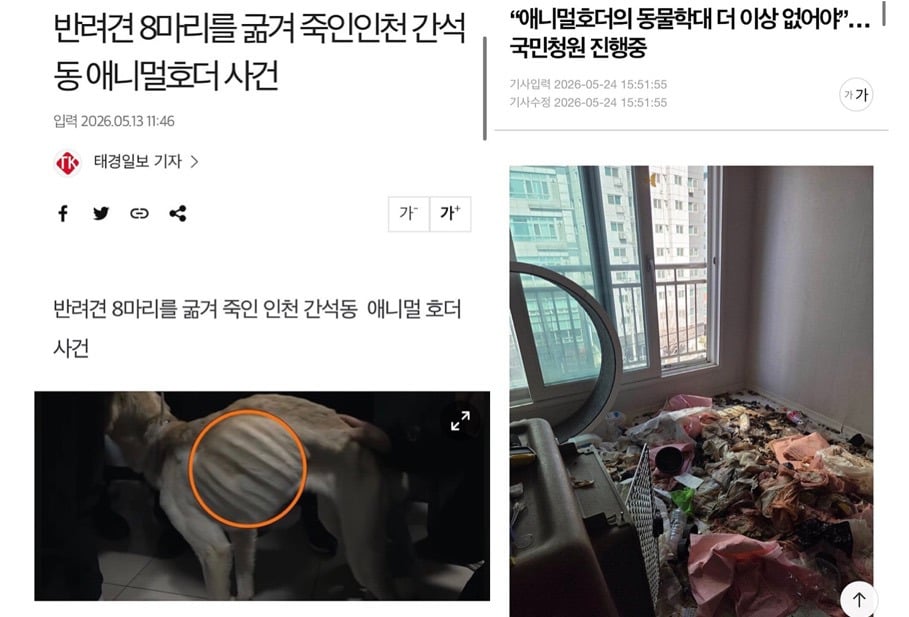 인천 간석동 애니멀호더 사건 (청원 주소 있음)