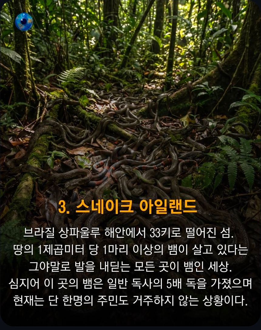 전세계 인류 접근 금지 구역 8