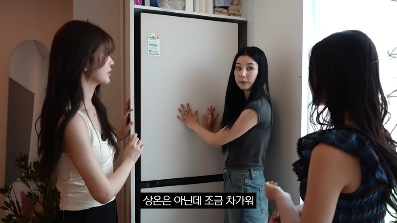 약스 한국 신축 아파트 가본 일본 여자들의 반응