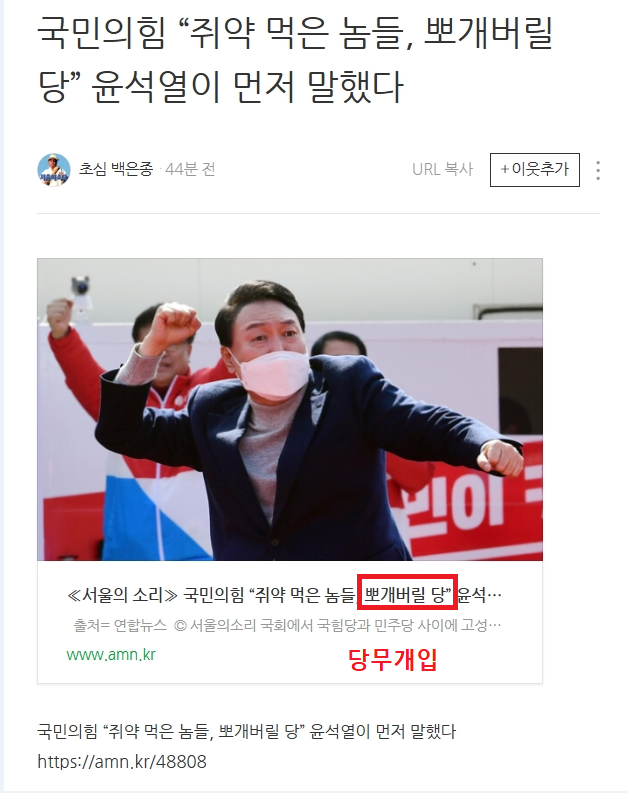 국힘 누가 봐도 당무개입