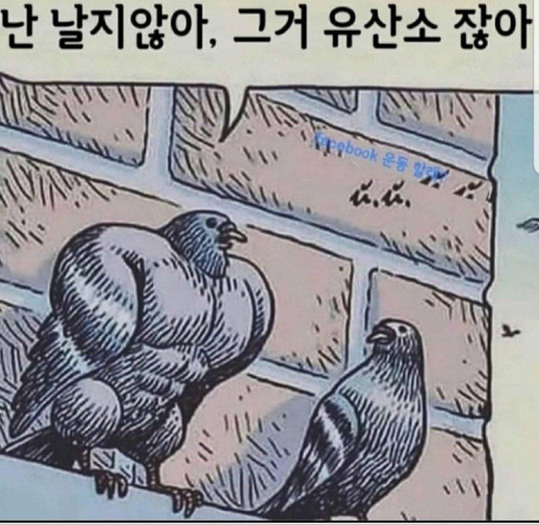 날개가 점점 장식이 되어 가는 동물
