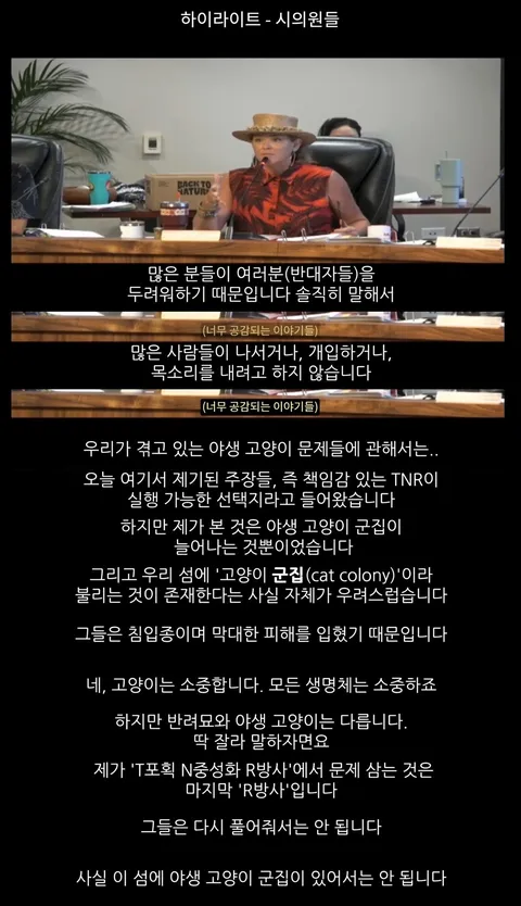 하와이 고양이 근황 feat. 의회