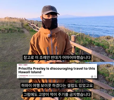 하와이 고양이 근황 feat. 의회