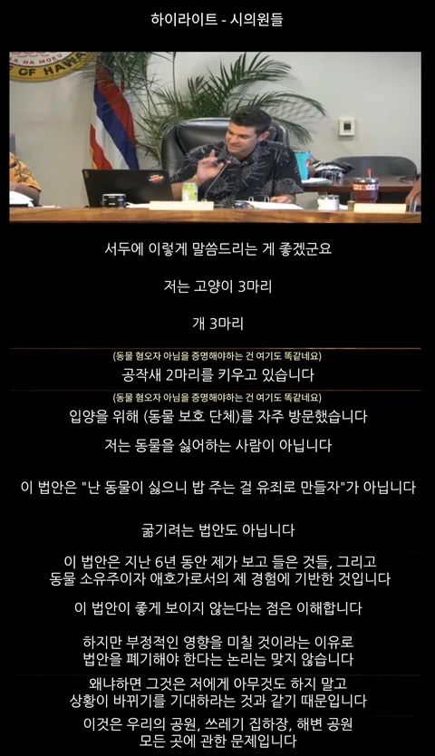 하와이 고양이 근황 feat. 의회