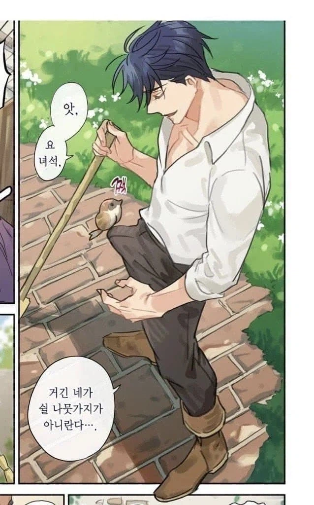 순수체급으로 웃기는 BL짤