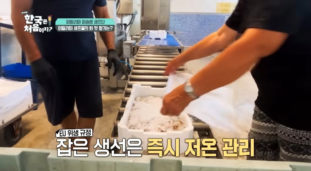 [어서와한국은처음이지] 자연산회 한 점 먹고 조용해진 이탈리아 셰프들