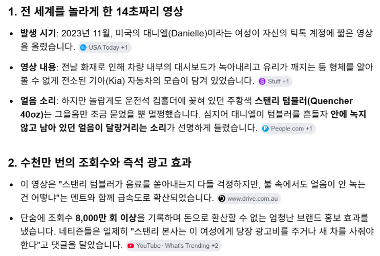 텀블러회사 스탠리에게 새차를 받은 여자