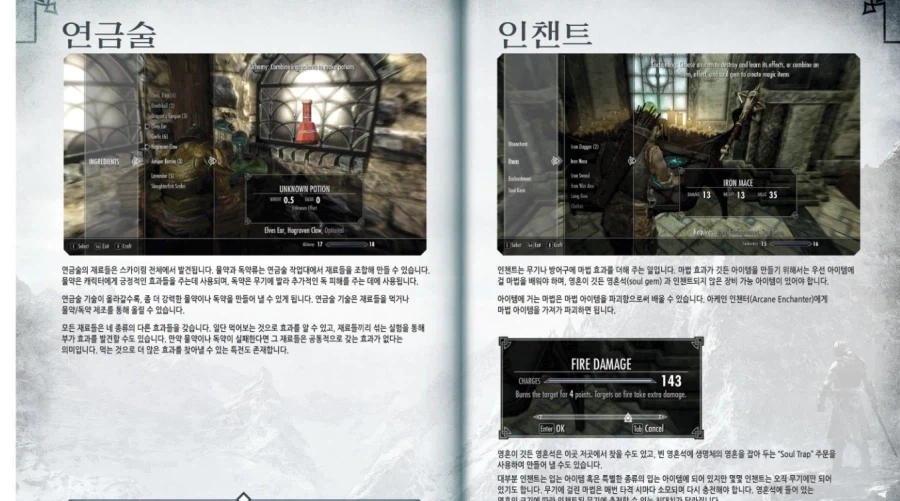 엘더스크롤]사실 스카이림 스팀은 한글화 패치 했어