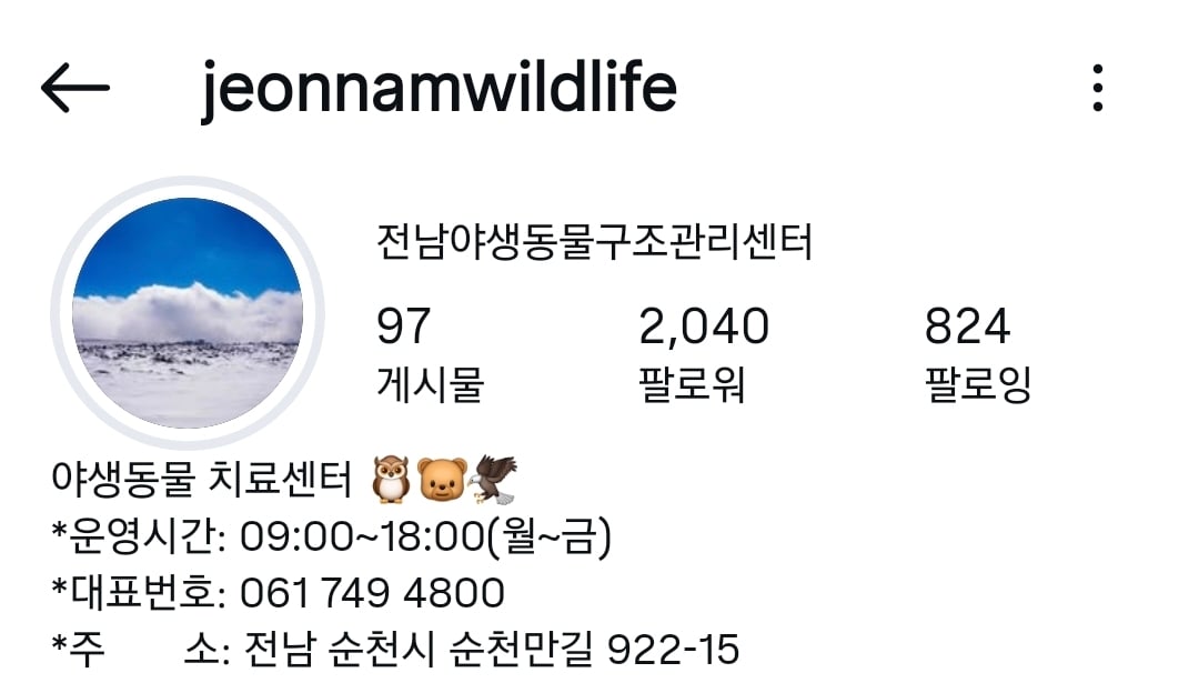 길고양이 살처분 새덕후 청원 동조한 전남야생동물구조센터 인스타 현상황
