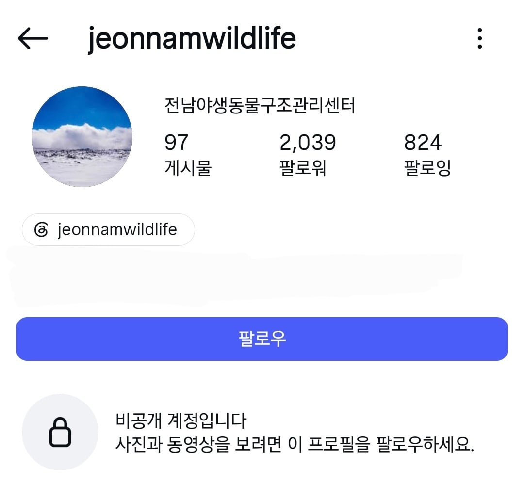 길고양이 살처분 새덕후 청원 동조한 전남야생동물구조센터 인스타 현상황