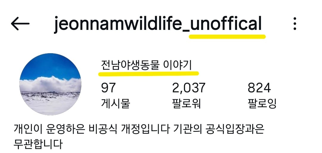 길고양이 살처분 새덕후 청원 동조한 전남야생동물구조센터 인스타 현상황